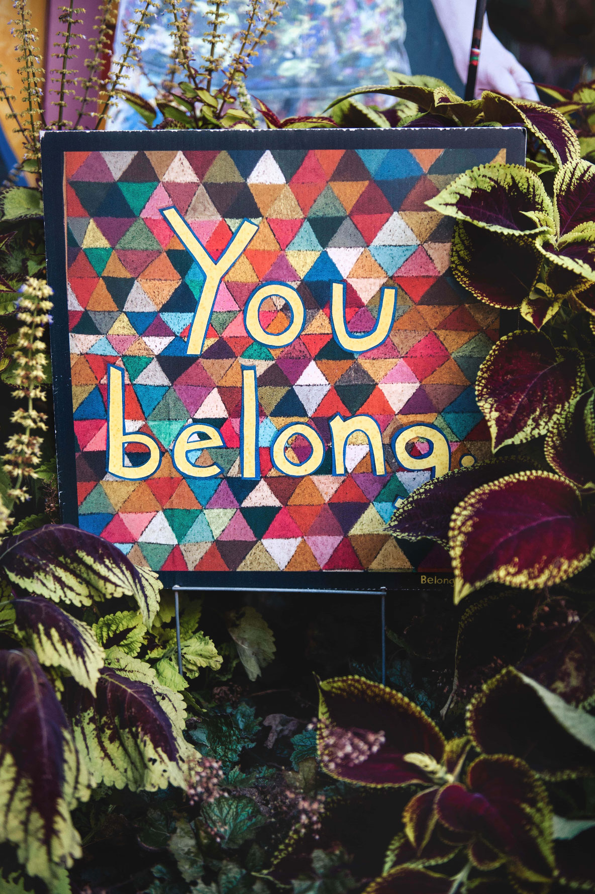 Bunt steht "You belong" auf einem Schild inmitten von Pflanzen